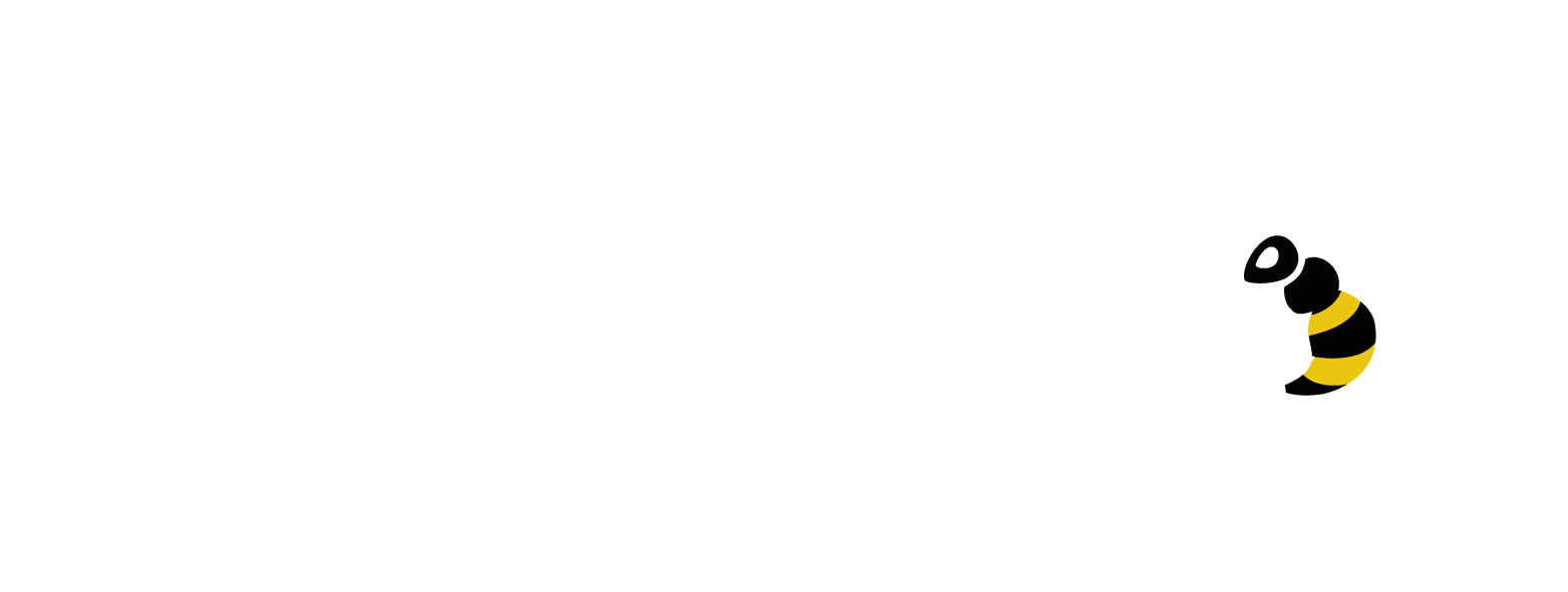 Mr JBee Logo